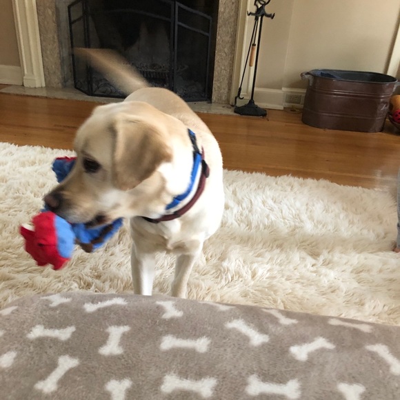 Meet your Posher, Alex - Picture 1 of 1